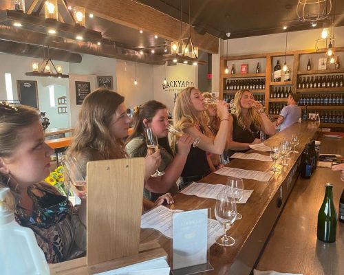 A group of women trying wines on wine tours
